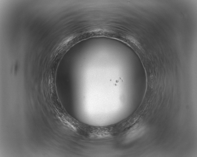 X0000059801111200510241322