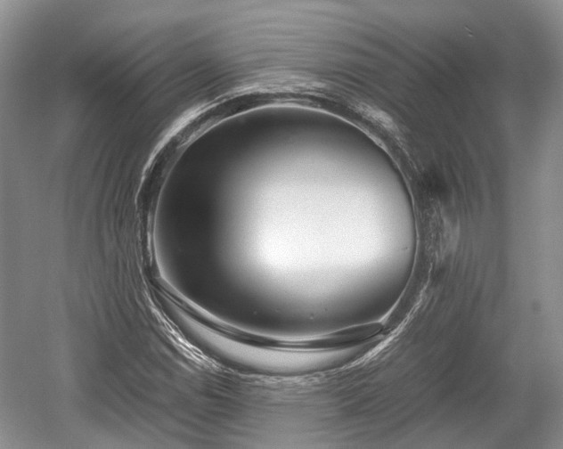 X0000059801114200510241322