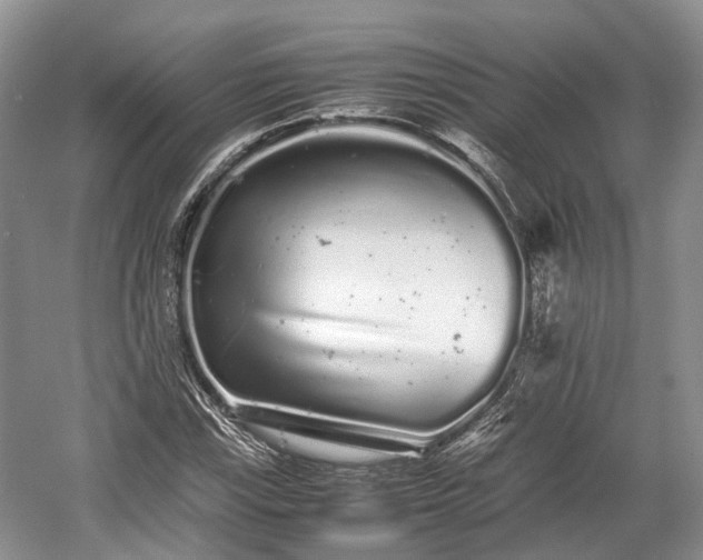 X0000059801115200510241322