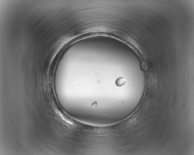 X0000059801116200510241322