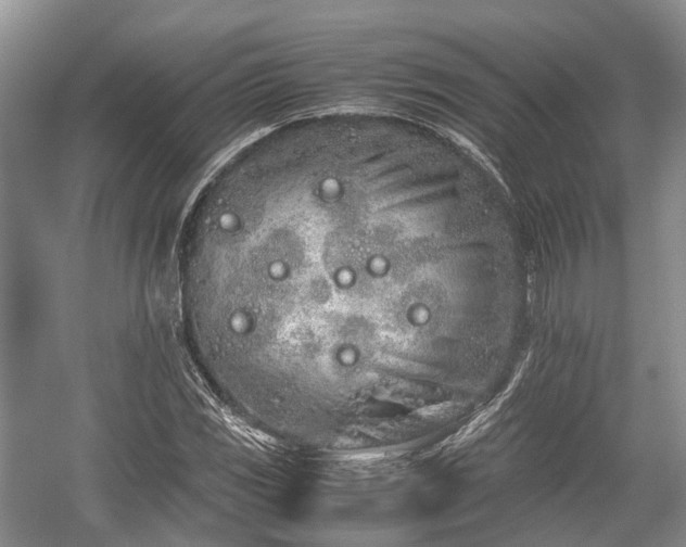 X0000059801117200510241322