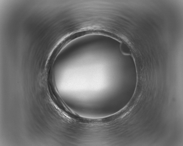 X0000059801118200510241322