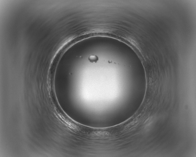 X0000059801119200510241322