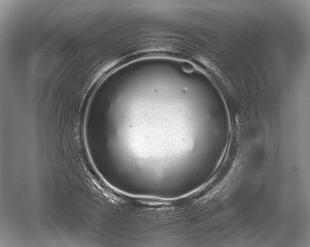 X0000059801121200510241322