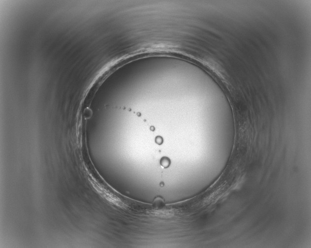 X0000059801126200510241322