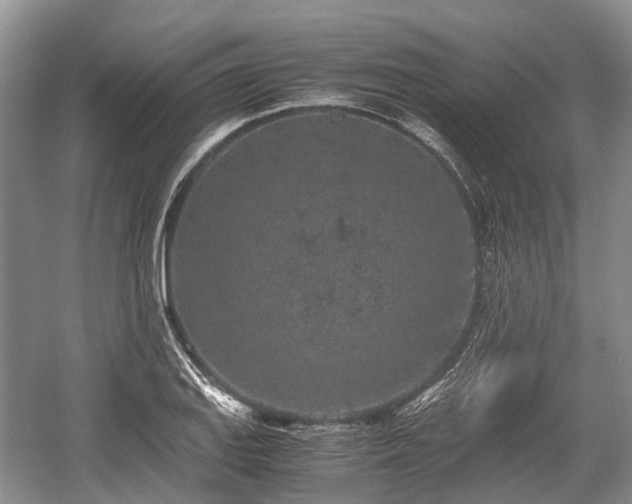 X0000059801127200510241322