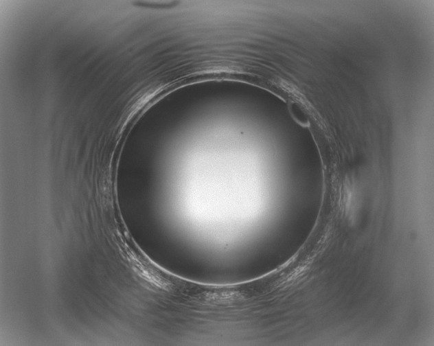 X0000059801129200510241322