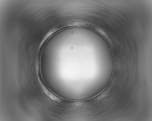 X0000059801130200510241322