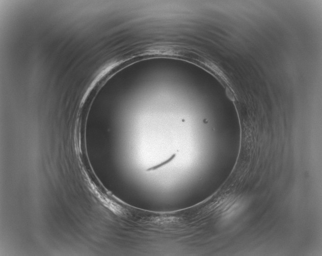 X0000059801131200510241322