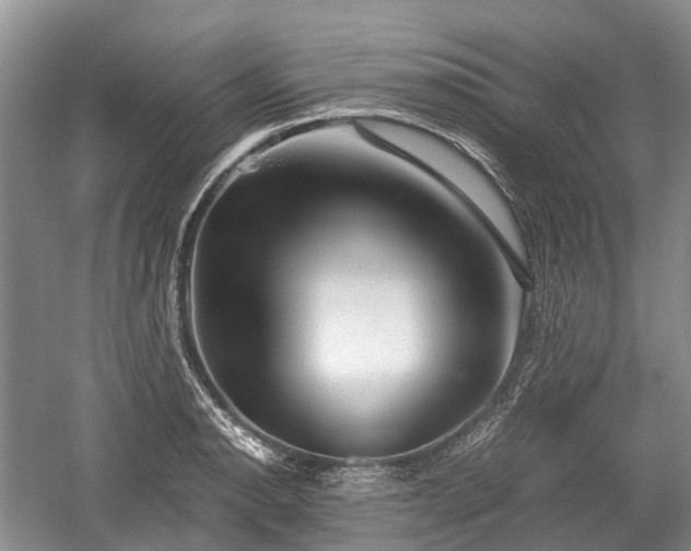 X0000059801134200510241322