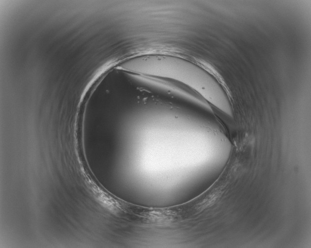 X0000059801138200510241322