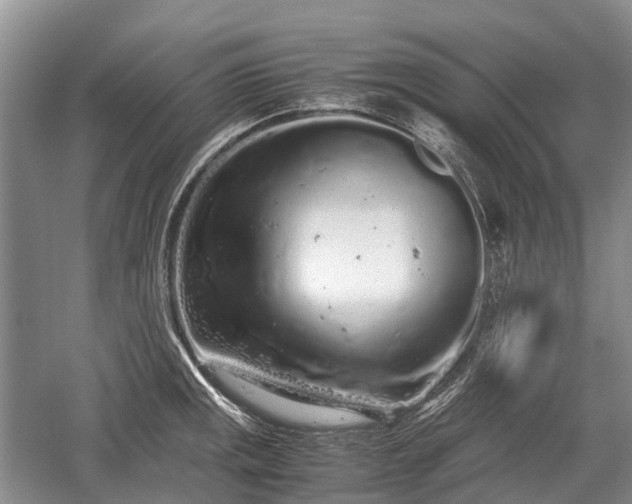 X0000059801141200510241322