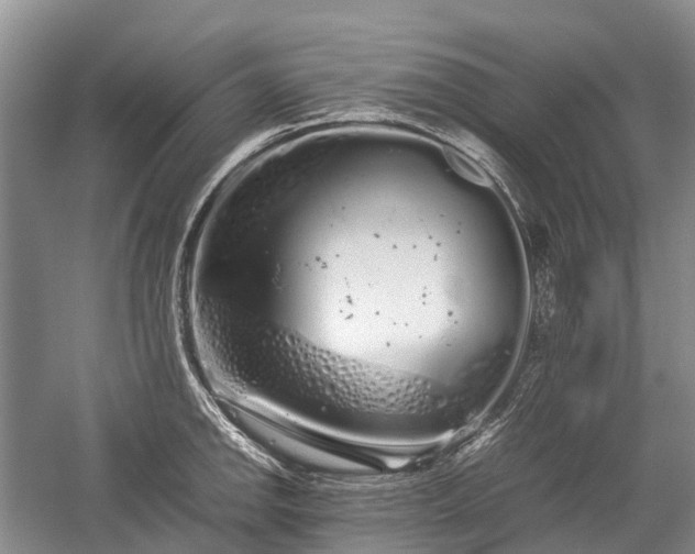 X0000059801142200510241322