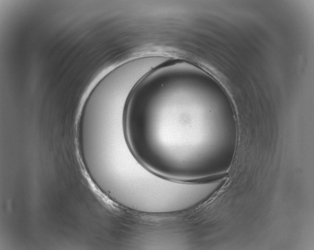 X0000059801152200510241322