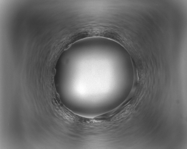 X0000059801153200510241322