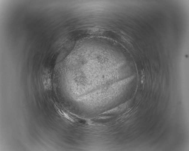 X0000059801154200510241322