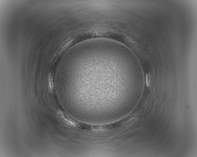 X0000059801155200510241322