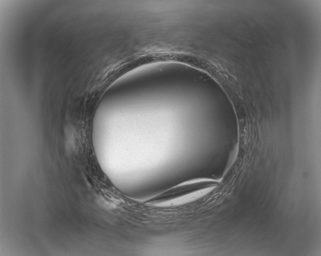 X0000059801157200510241322