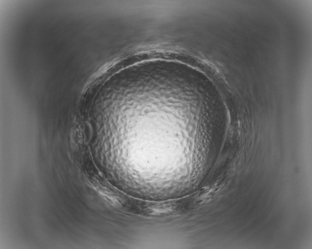 X0000059801159200510241321