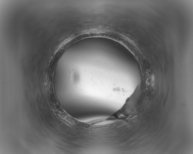 X0000059801160200510241321