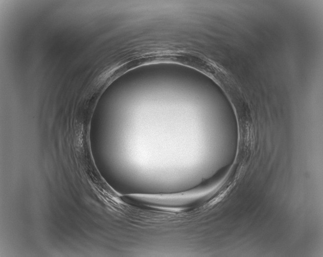 X0000059801161200510241321