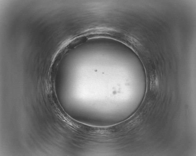 X0000059801164200510241321