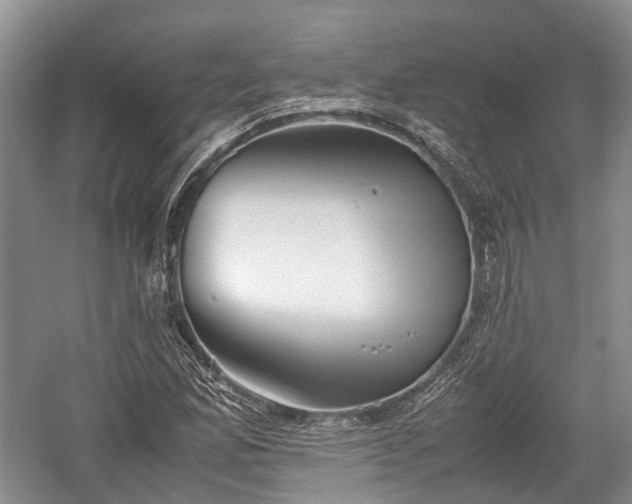 X0000059801165200510241321