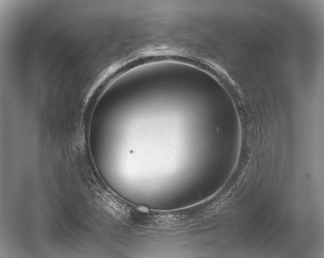 X0000059801167200510241321