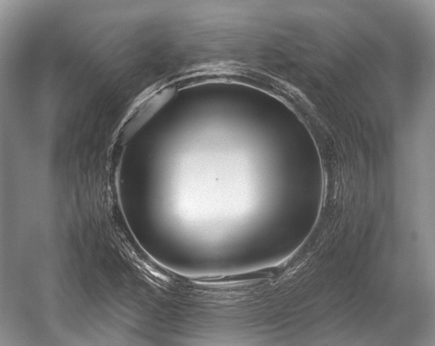 X0000059801168200510241321