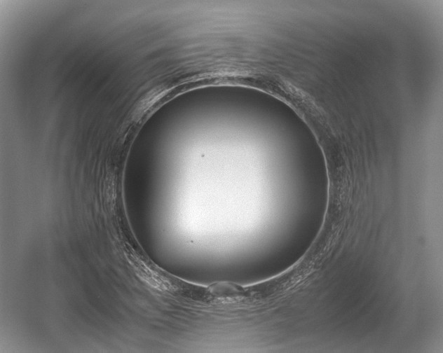 X0000059801169200510241321