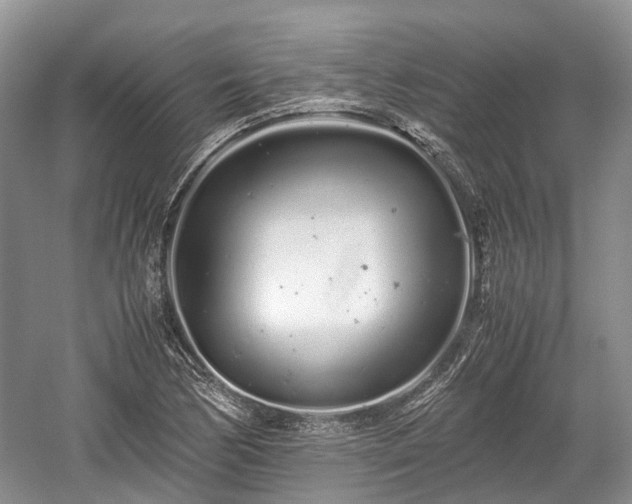 X0000059801170200510241321