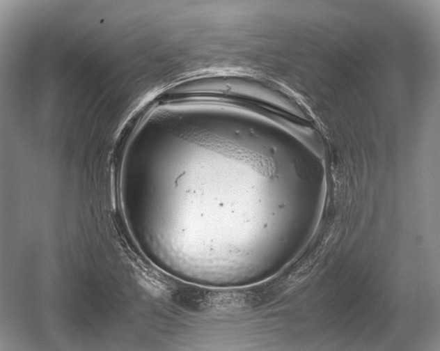 X0000059801171200510241321