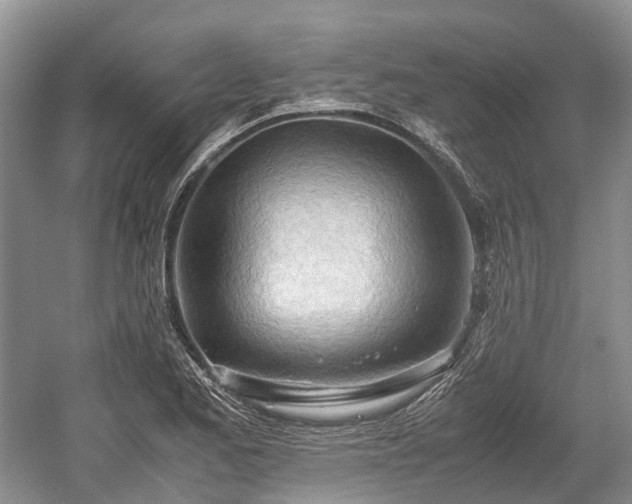 X0000059801173200510241321