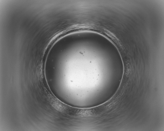 X0000059801174200510241321