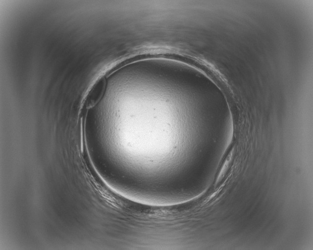 X0000059801175200510241321