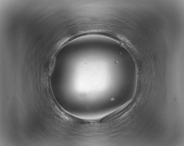 X0000059801177200510241321