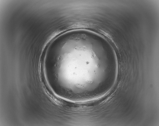 X0000059801179200510241321