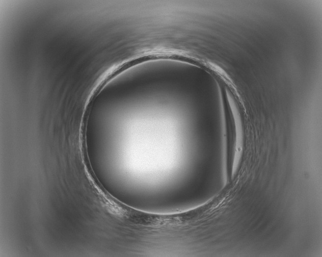 X0000059801183200510241321