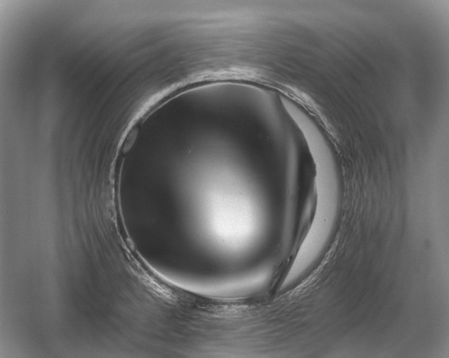 X0000059801184200510241321