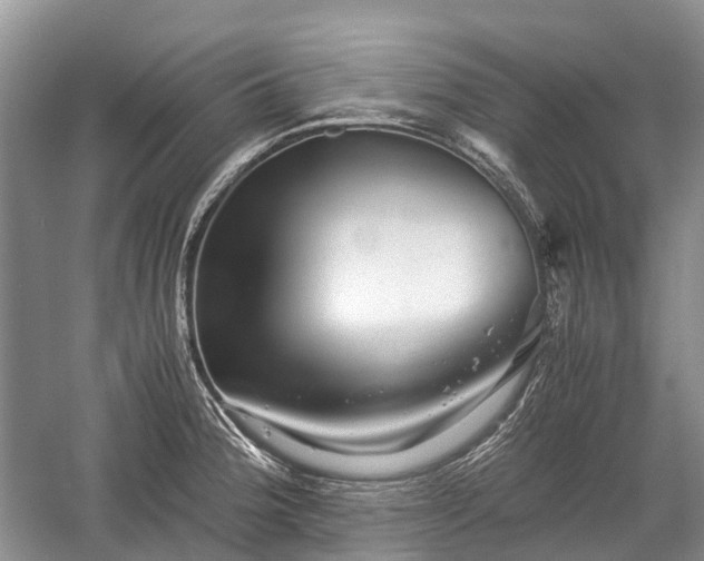 X0000059801188200510241321