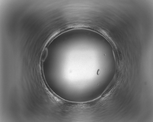 X0000059801189200510241321