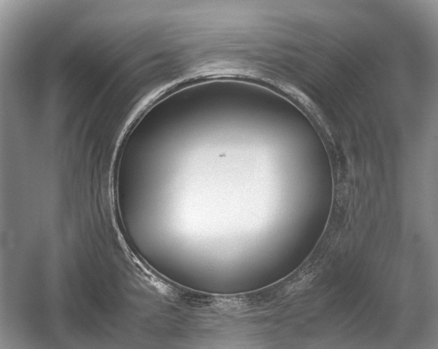 X0000059801191200510241321