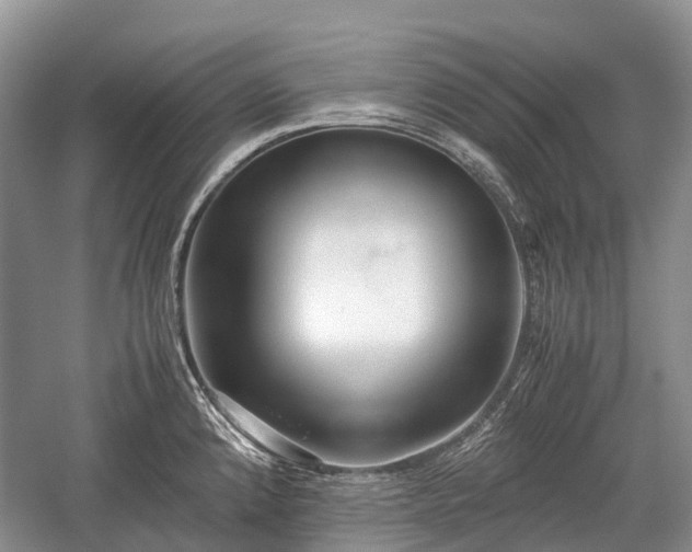 X0000059801192200510241321