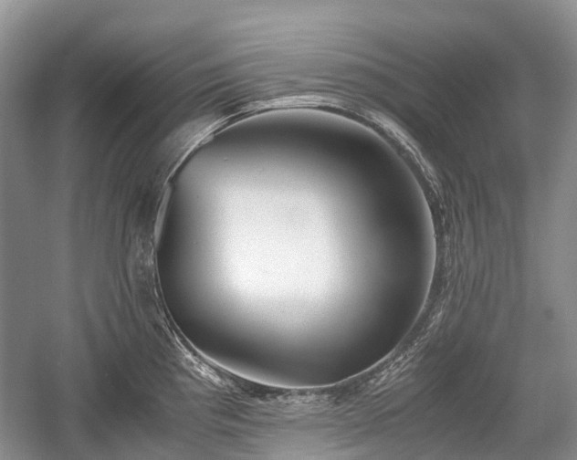 X0000059801193200510241321