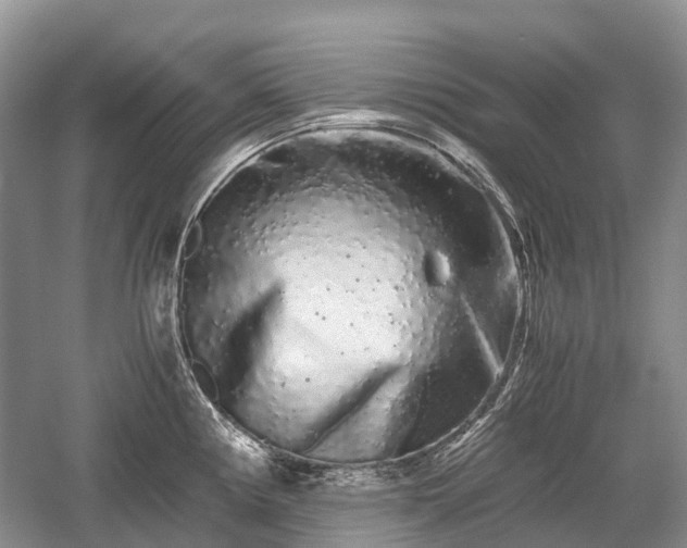 X0000059801194200510241321