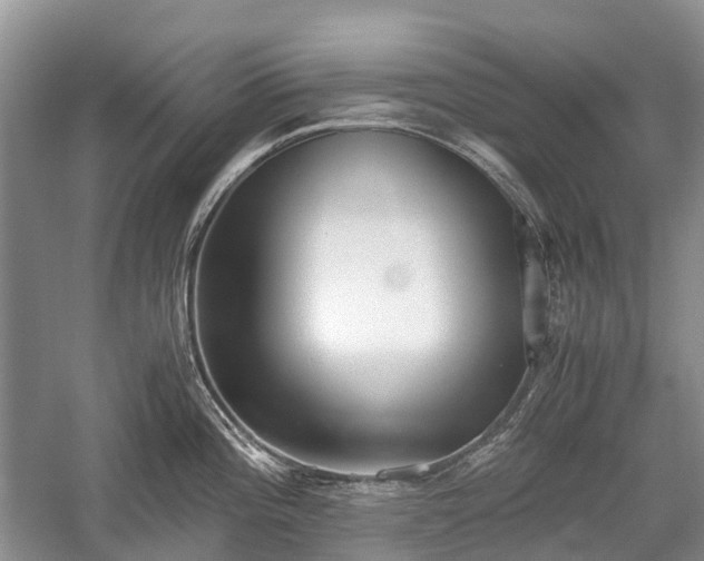 X0000059801196200510241321