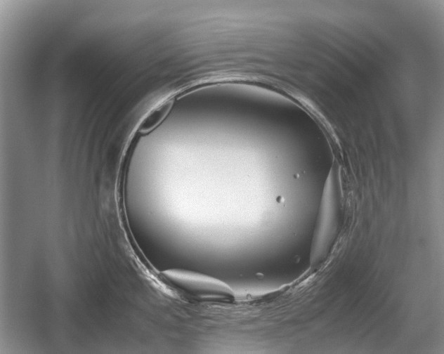 X0000059801197200510241321