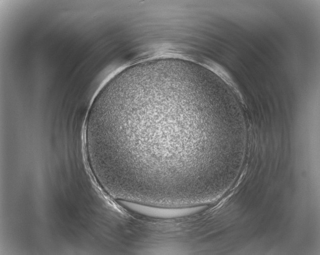 X0000059801198200510241321