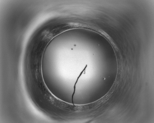 X0000059801199200510241321