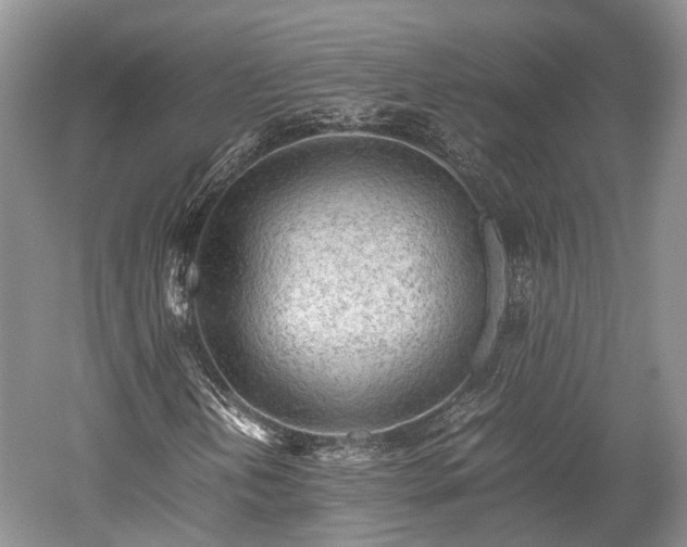 X0000059801202200510241320